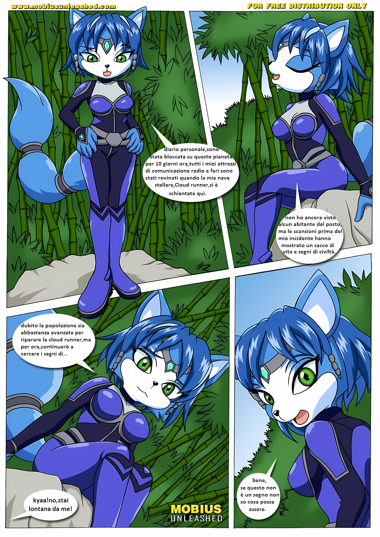 FoXXXes [Palcomix], FoXXXes (Star Fox , Sonic The Hedgehog) [Palcomix], page 2 of 39