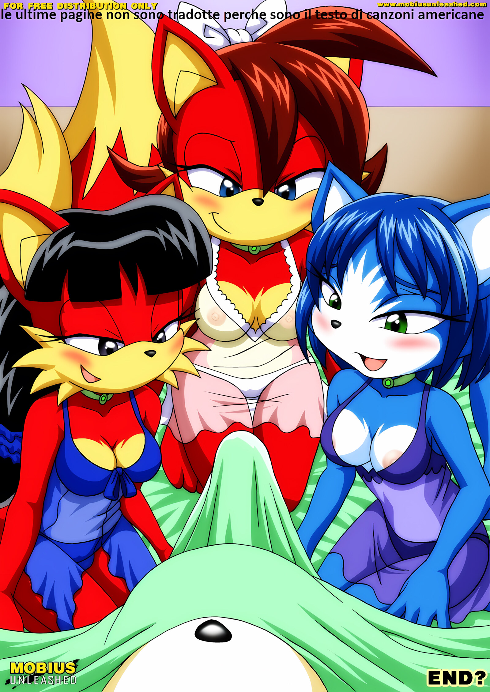 FoXXXes [Palcomix], FoXXXes (Star Fox , Sonic The Hedgehog) [Palcomix], page 39 of 39