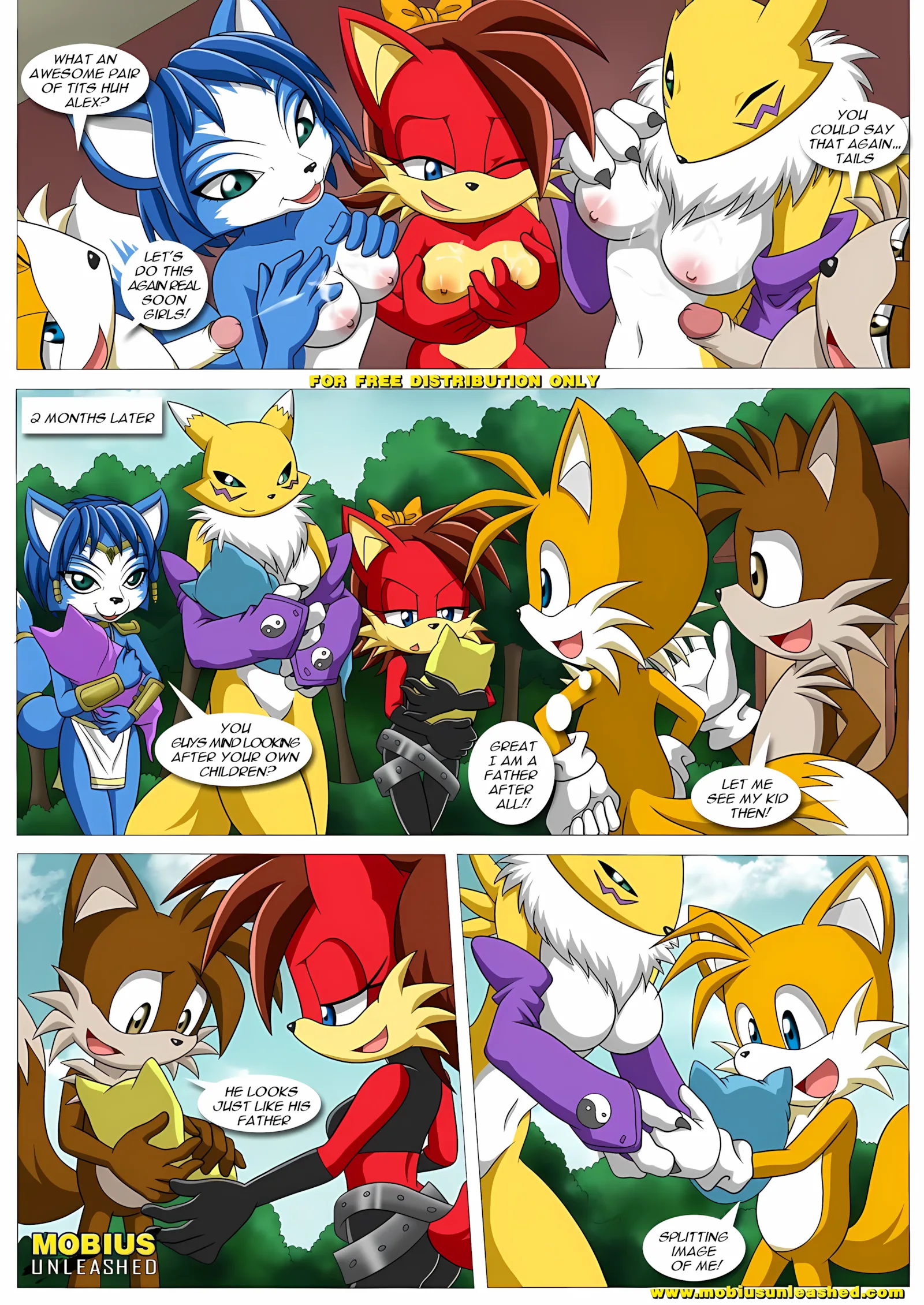 FoXXXes (Star Fox , Sonic the Hedgehog) [Palcomix], 2 . FoXXXes - Chapter 2 (Star Fox , Sonic the Hedgehog) [Palcomix], page 10 of 11